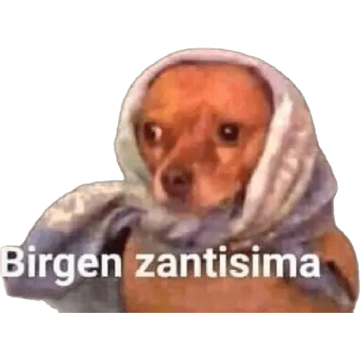 Çıkartma
