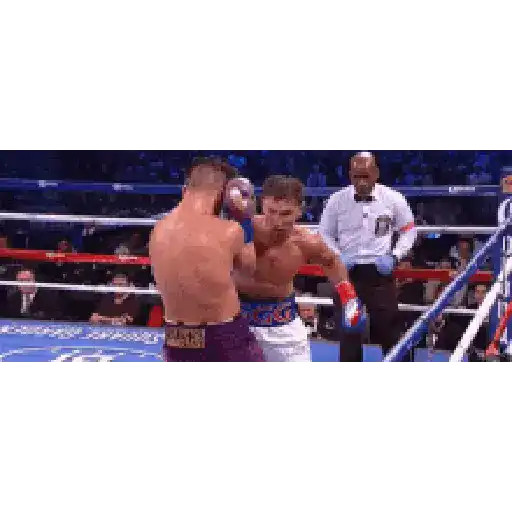 ස්ටිකර්