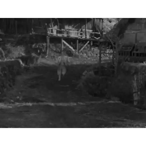 స్టికర్