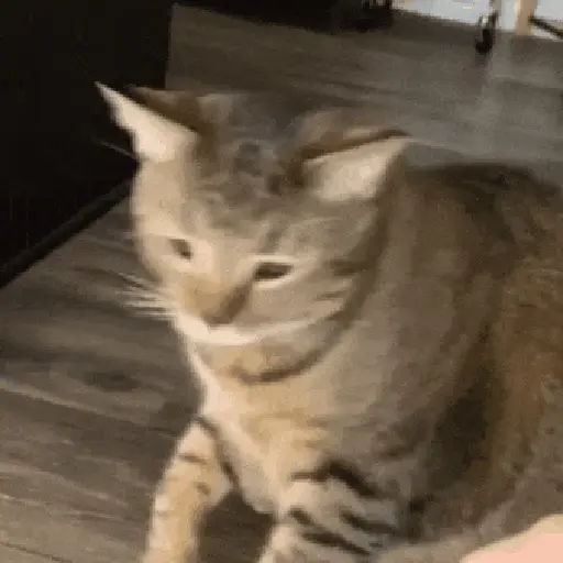 ஸ்டிக்கர்