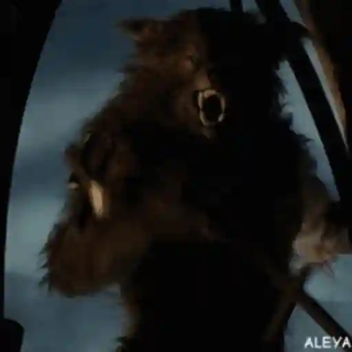 স্টিকার