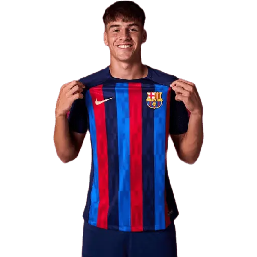 স্টিকার