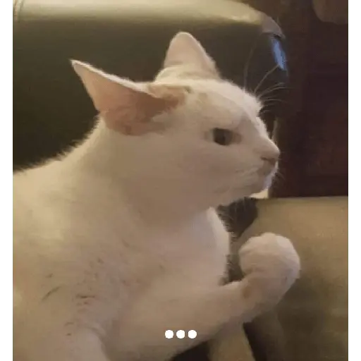 สติกเกอร์