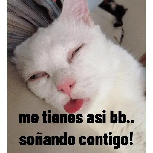 สติกเกอร์