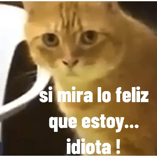 สติกเกอร์