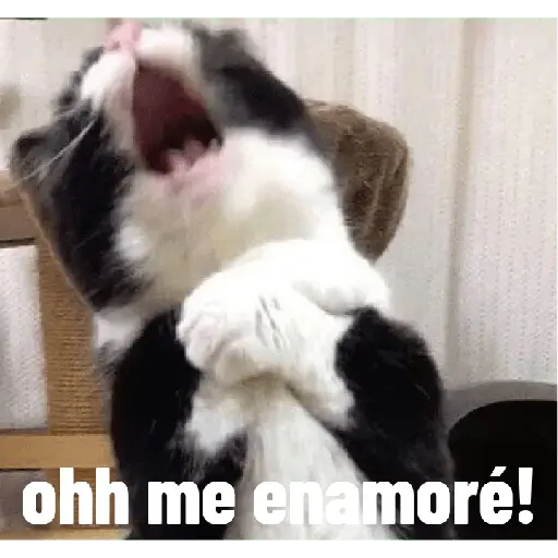 สติกเกอร์