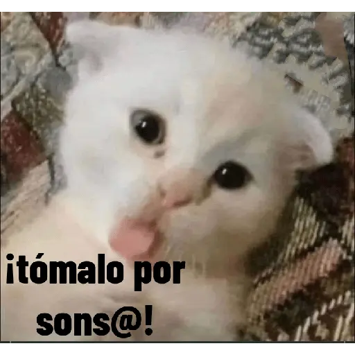 สติกเกอร์