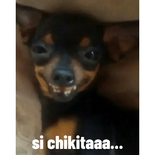 สติกเกอร์