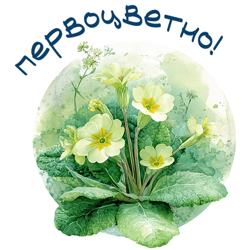 স্টিকার