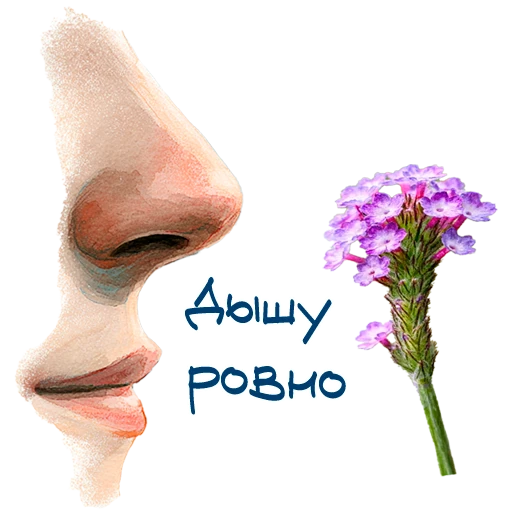 স্টিকার