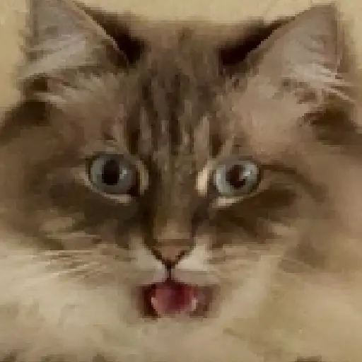 สติกเกอร์