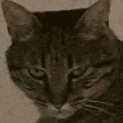 สติกเกอร์