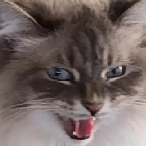 สติกเกอร์