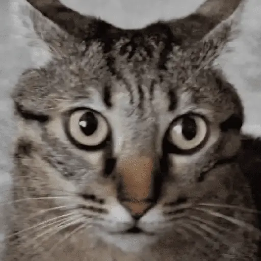 สติกเกอร์