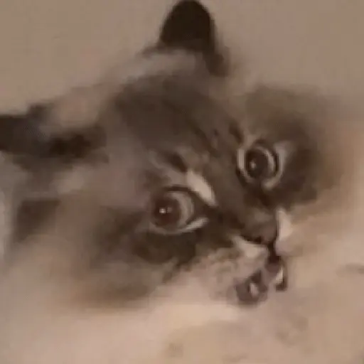 สติกเกอร์