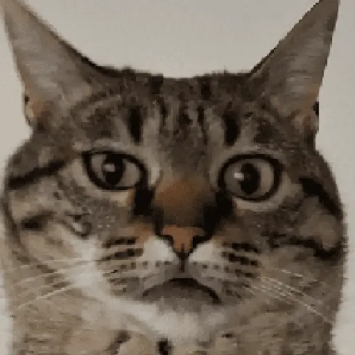 สติกเกอร์