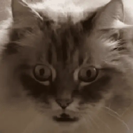 สติกเกอร์