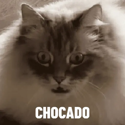 สติกเกอร์