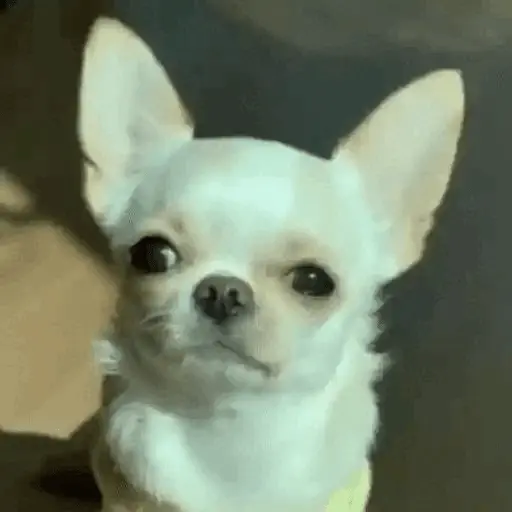 Կպչուն պիտակ