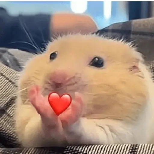 Կպչուն պիտակ