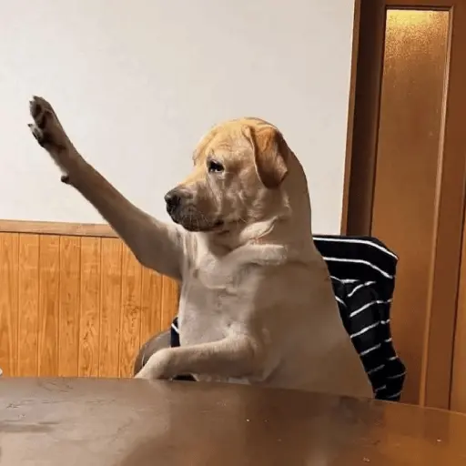 Կպչուն պիտակ