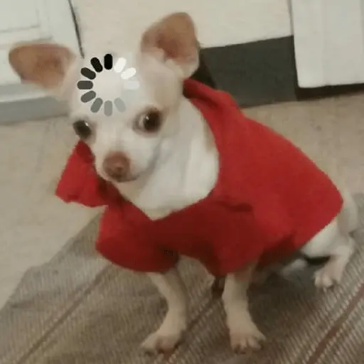 Կպչուն պիտակ