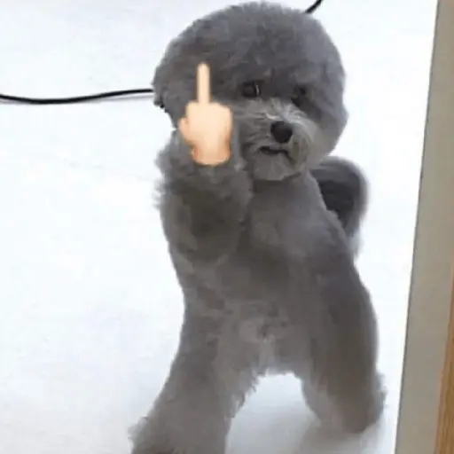 Կպչուն պիտակ