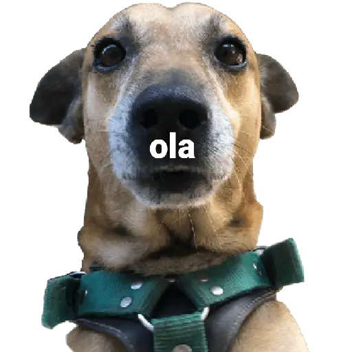 স্টিকার