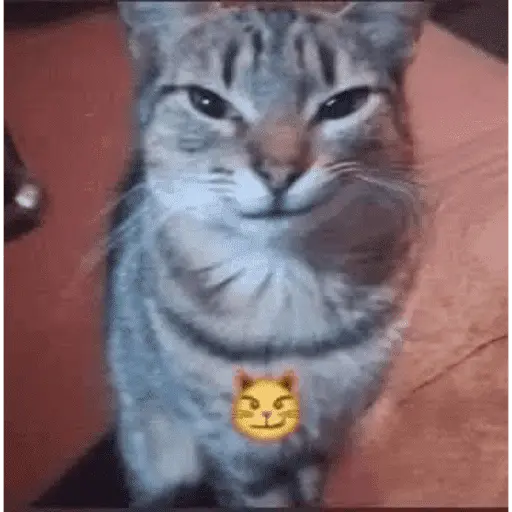 স্টিকার