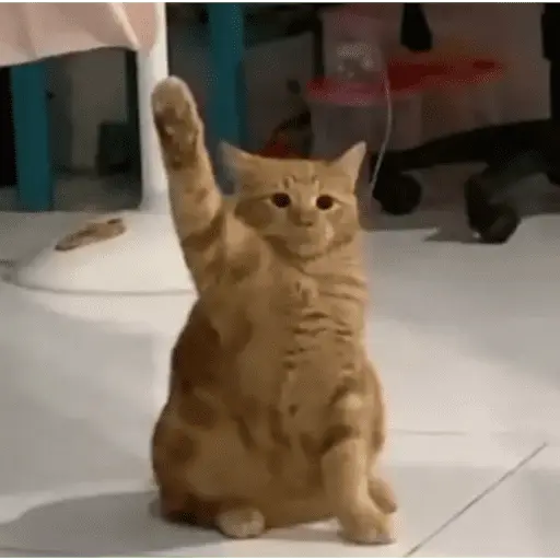 স্টিকার